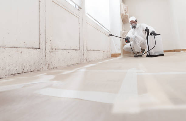 24/7 Emergency Attic Mold Removal experts in Leonia, NJ