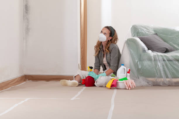Reliable Mold Cleanup contractor in Leonia, NJ by Cheap Mold Removal